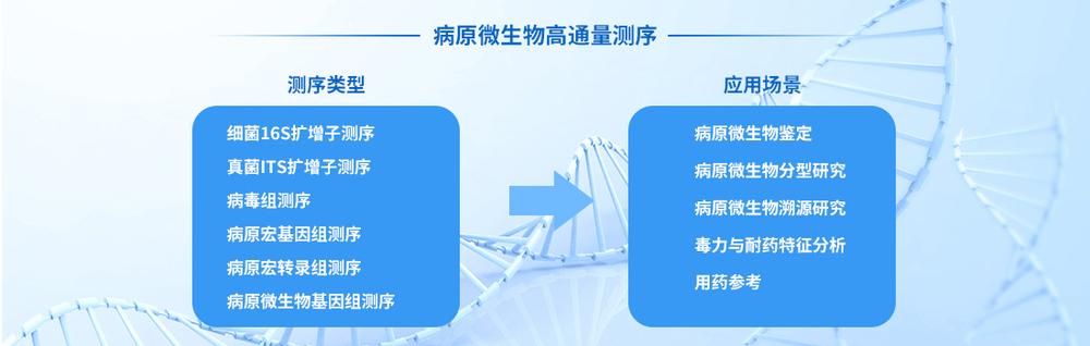 病原微生物高通量测序.jpg