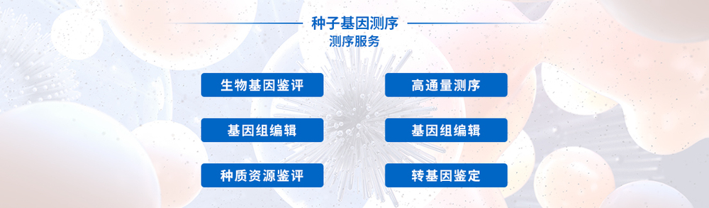 种子基因测序.jpg