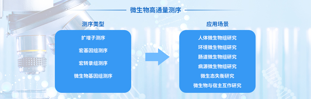 微生物高通量测序.jpg
