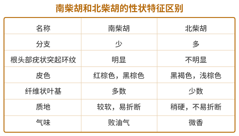 南北柴胡性状区别.jpg